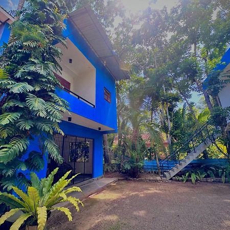 Bed and Breakfast Jungle Fence Бентота Экстерьер фото