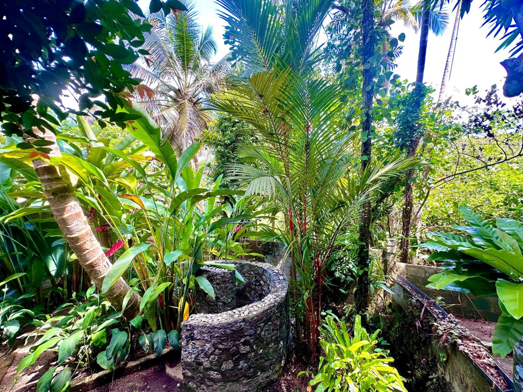 Bed and Breakfast Jungle Fence Бентота Экстерьер фото