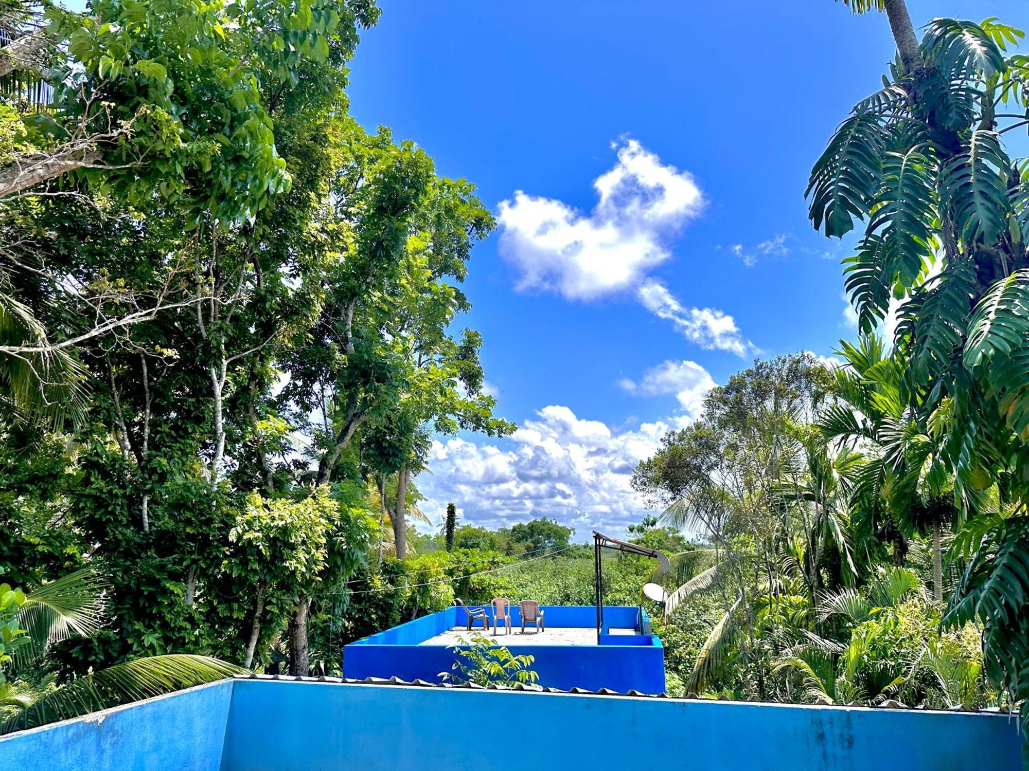 Bed and Breakfast Jungle Fence Бентота Экстерьер фото